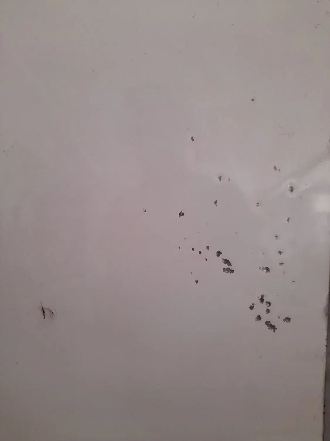 تخته وایت برد|لوازم التحریر|نیشابور, شهرک فرهنگیان|دیوار