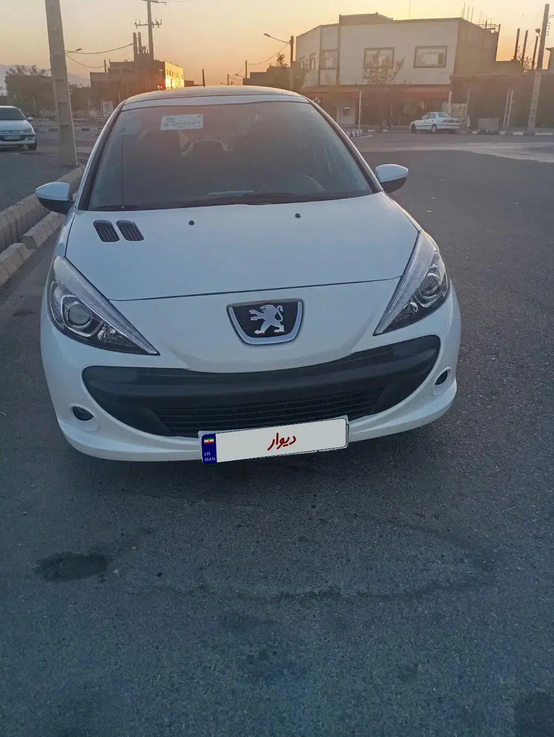 ۲۰۷پانورما بی رنگ تمیز|خودرو سواری و وانت|بیرجند, |دیوار