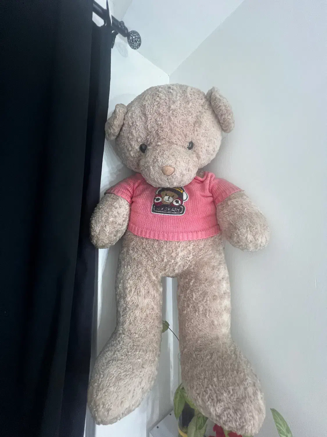 عروسک خرس بزرگ|اسباب‌‌بازی|آمل, |دیوار