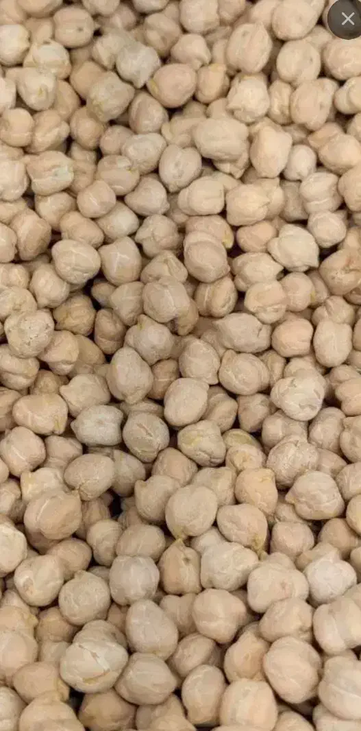 نخود|خوردنی و آشامیدنی|پاپی, |دیوار