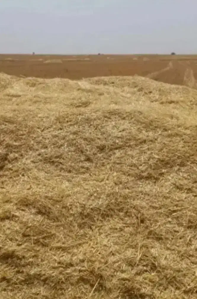 کاه|لوازم جانبی حیوانات|فرمهین, |دیوار