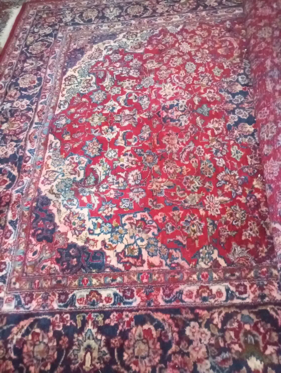 قالی دستباف 12متری 3/4|فرش|کارون, |دیوار