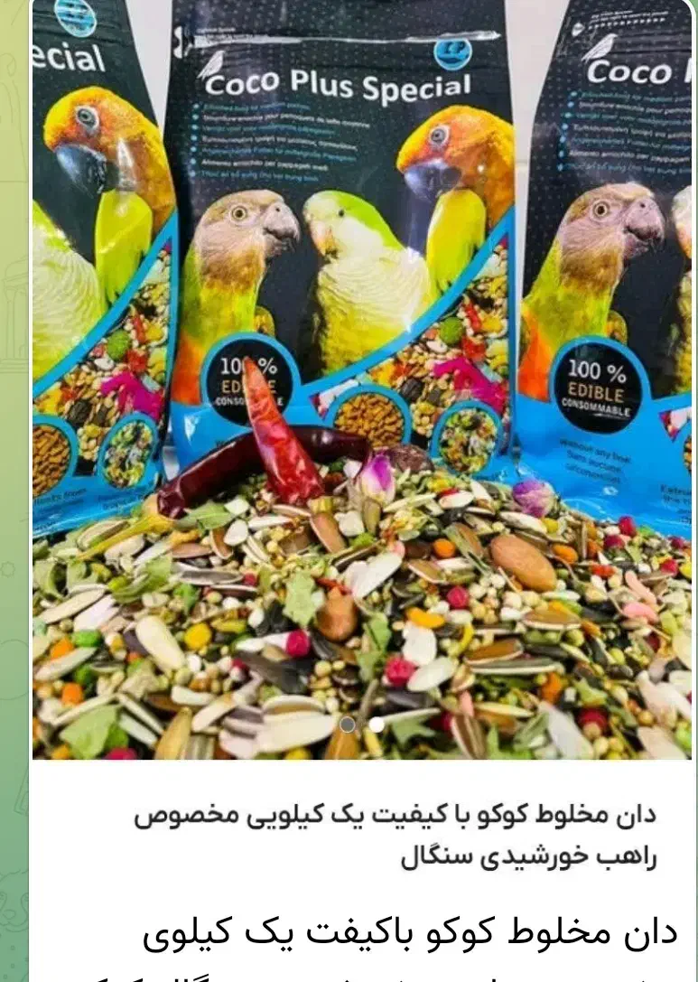 انواع دانه عروس هلندی طولی کاسکو مرغ مینا قناری|لوازم جانبی حیوانات|لاهیجان, کوی زمانی|دیوار