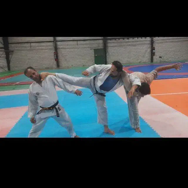 یین یانگ دو|فعالیت داوطلبانه|بندر انزلی, شهرداری|دیوار