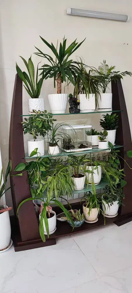 ویترین واستند|کتابخانه، شلف، قفسه‌های دیواری|شاهین‌شهر, عطار|دیوار