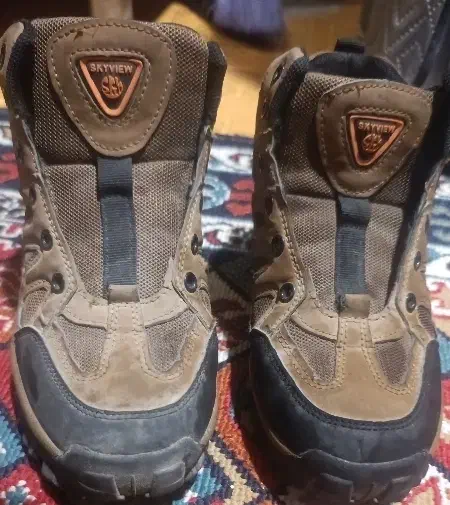 کیف و کفش|کیف، کفش، کمربند|سیرجان, |دیوار