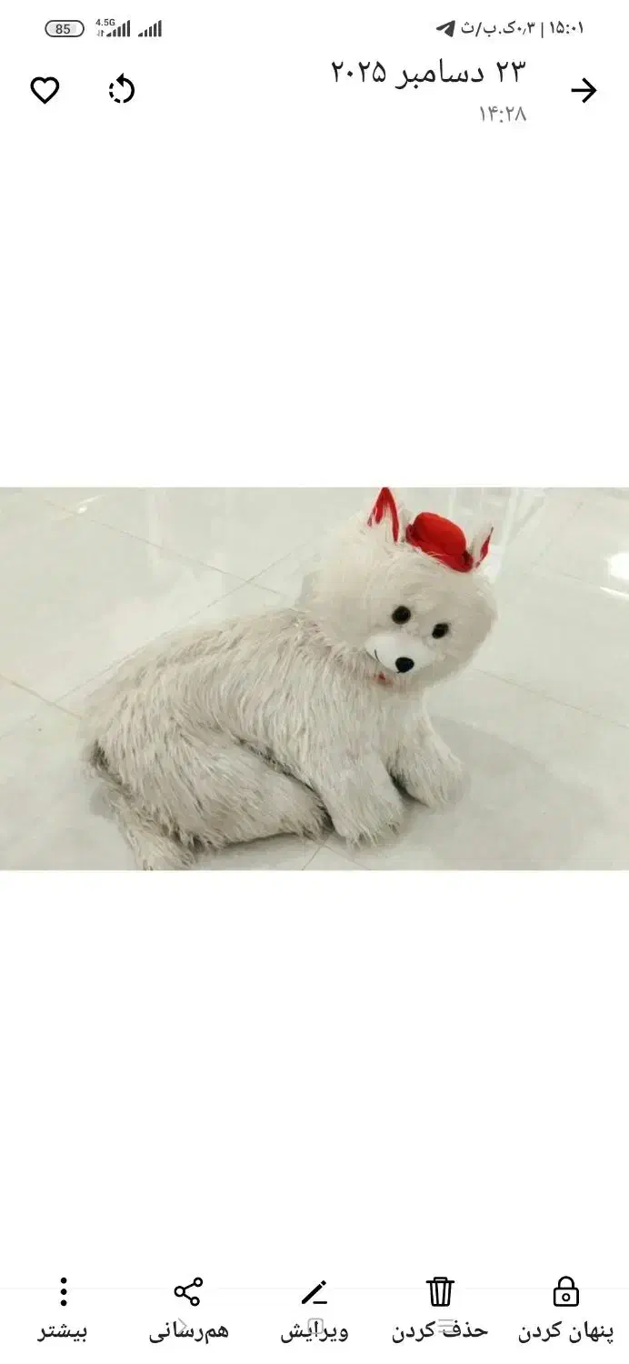 لوازم|کفش و لباس بچه|تربت‌حیدریه, بی بی حسنیه|دیوار