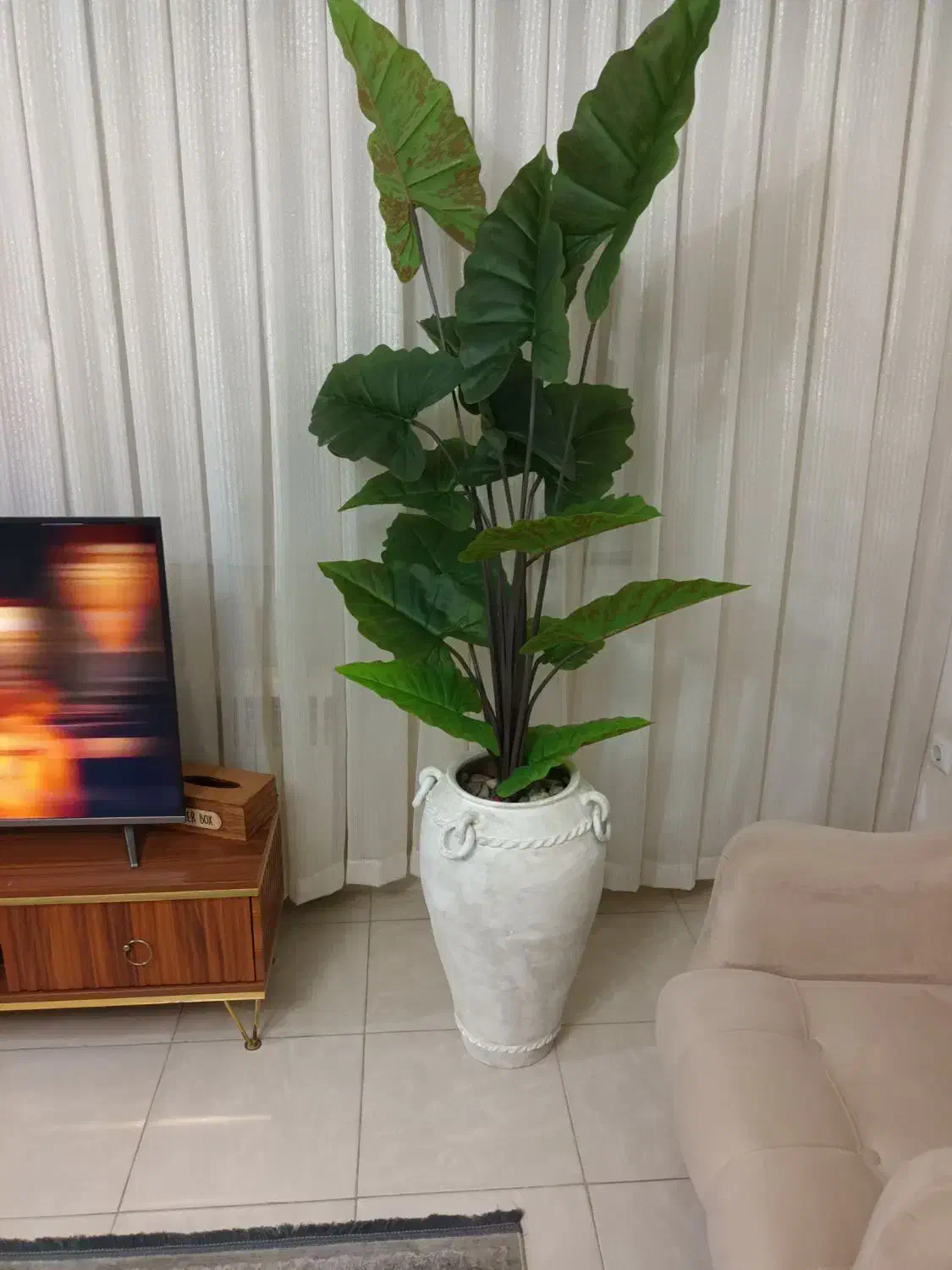 انواع درختچه با ارتفاعِ بلند|گل مصنوعی|ارومیه, |دیوار