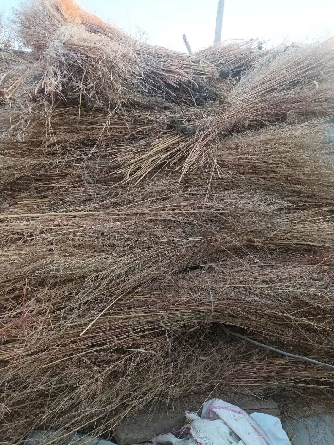 جارو شهرداری|لوازم نظافت|نهاوند, |دیوار