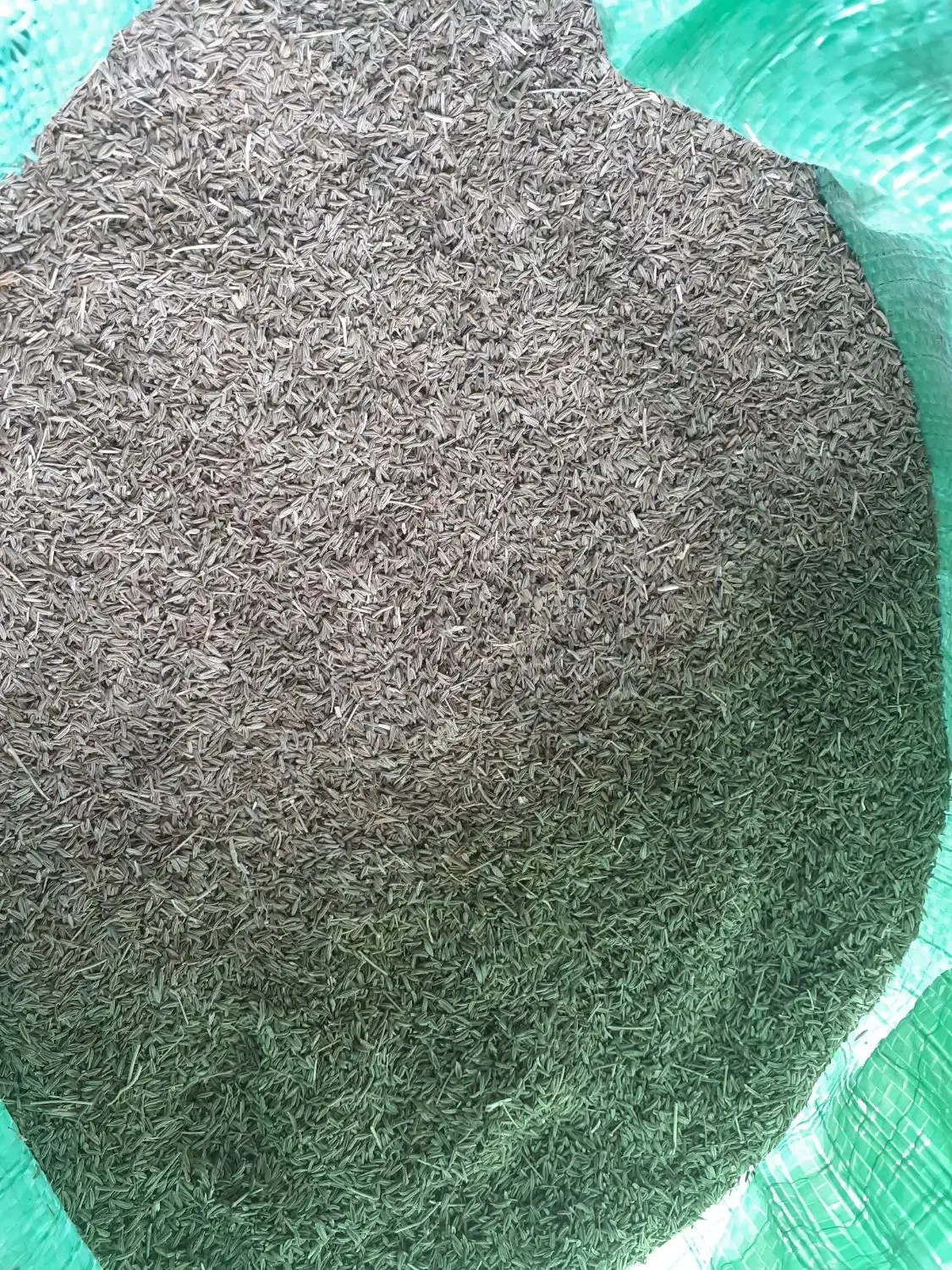 زیره سبز بذری درجه یک|خوردنی و آشامیدنی|دشتابی, |دیوار