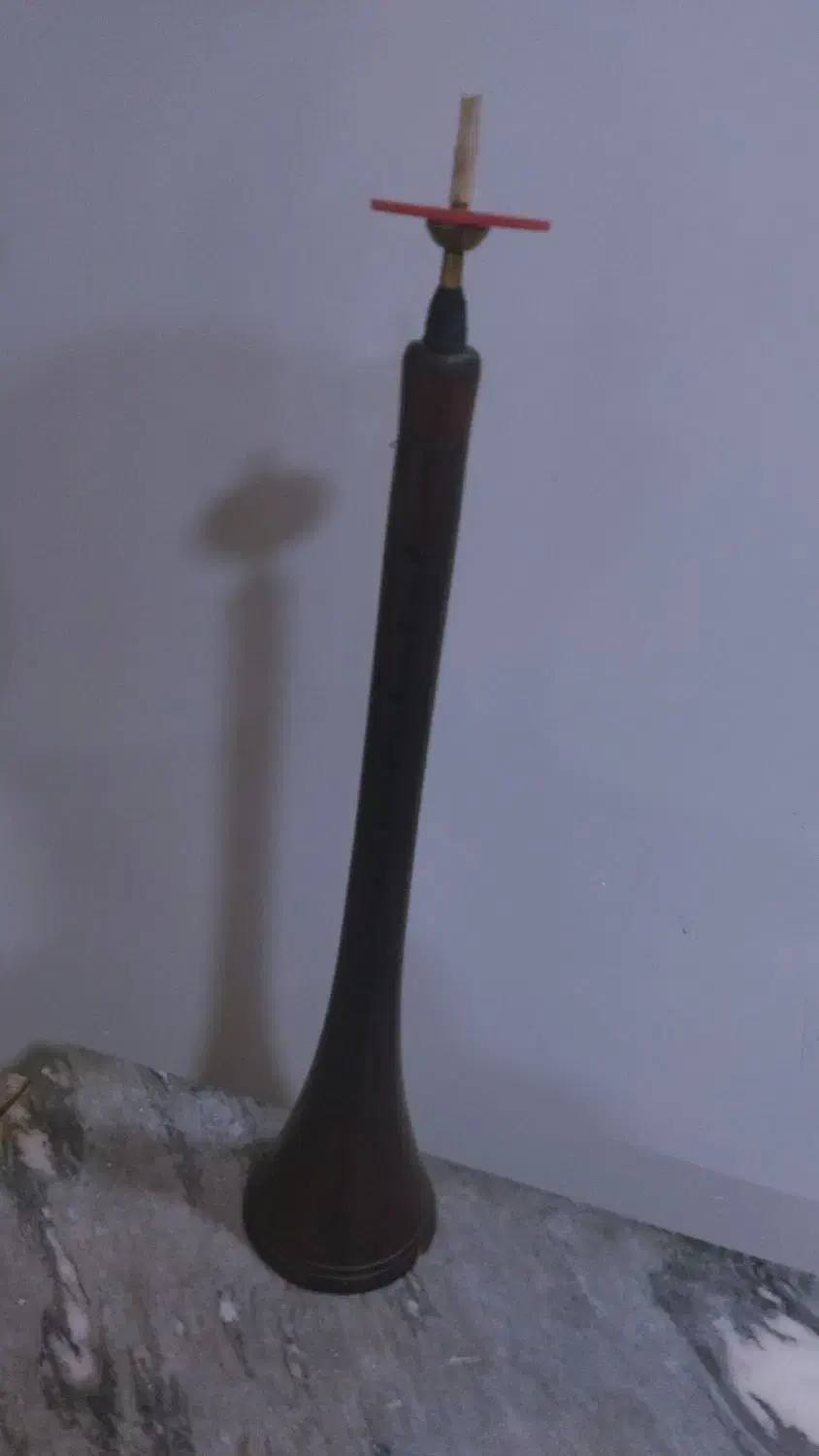 سرنا|سیستم صوتی خانگی|شیراز, دروازه قران|دیوار