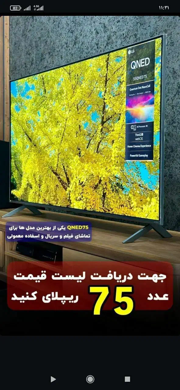 فروشگاه لوازم خانگی نقشبندی تلوزیون الجی|تلویزیون و پروژکتور|رشت, شالکو|دیوار