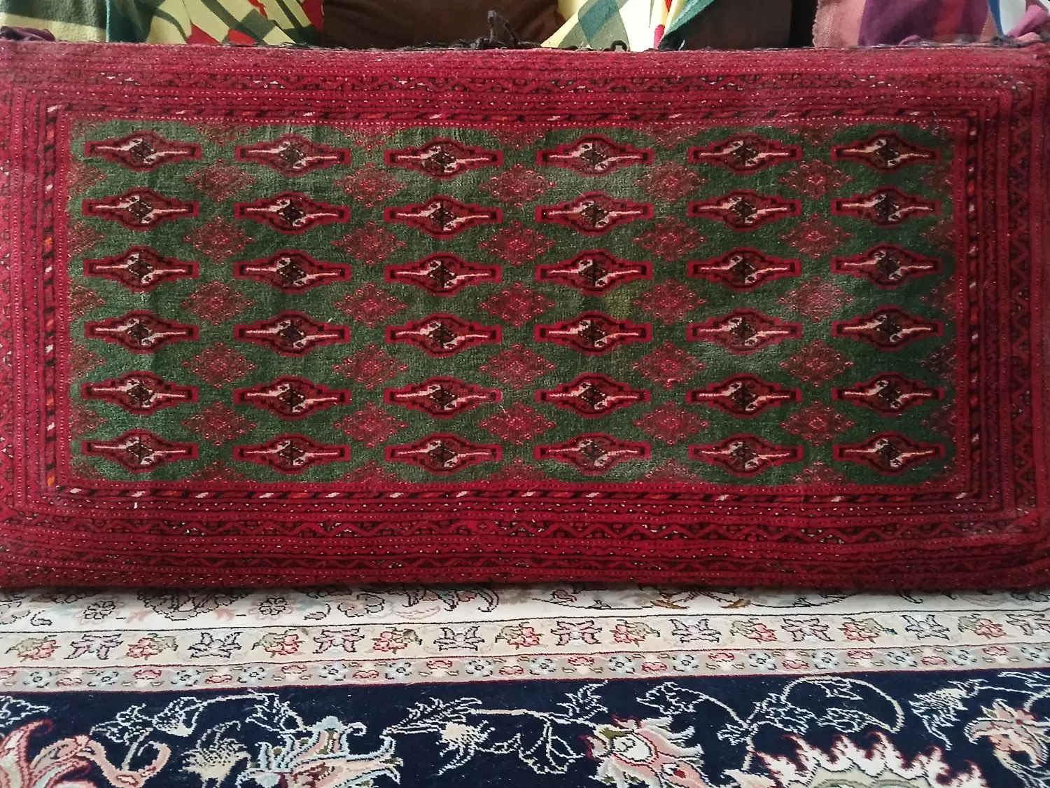گلاب|گل و گیاه طبیعی|بجنورد, |دیوار