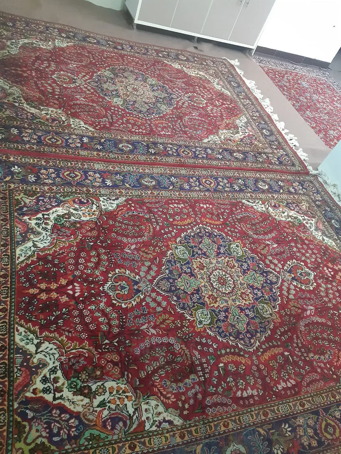 فروش فرش دستباف|فرش|سلماس, |دیوار