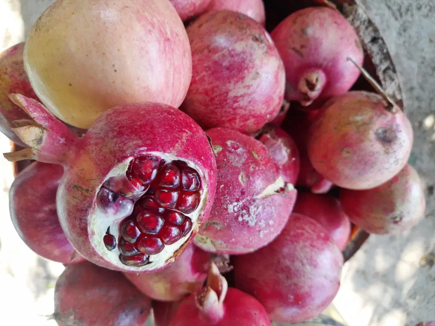 انار درجه ۱ کوهمره|خوردنی و آشامیدنی|شیراز, گلشن|دیوار