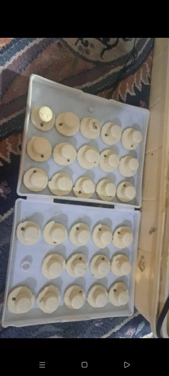 چرخ ژانومه802|چرخ خیاطی و ریسندگی|سراوان, |دیوار