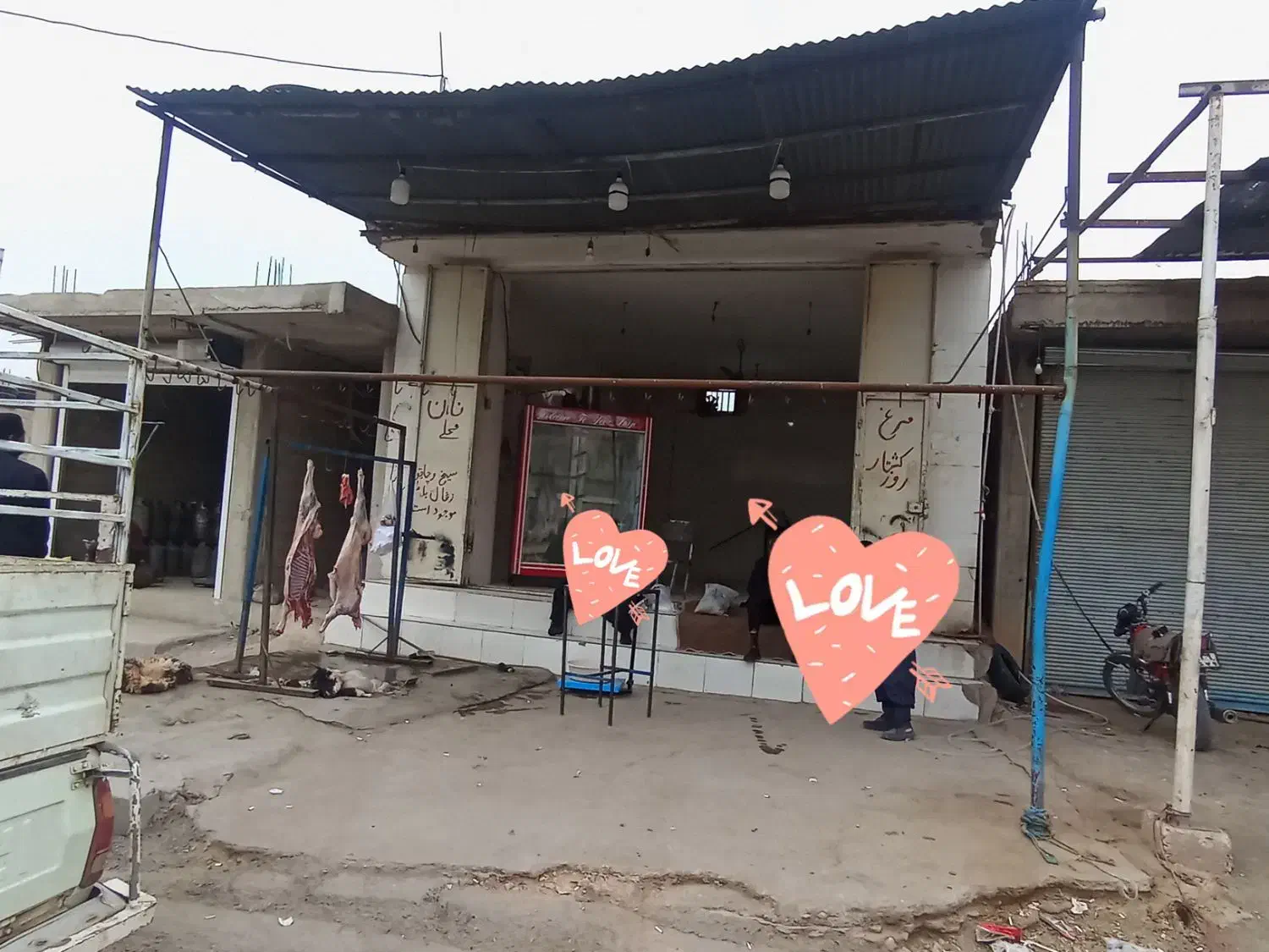 گوشت بره ۵ کیلو به بالا کیلو 670|عمدهفروشی|مسجد سلیمان, |دیوار