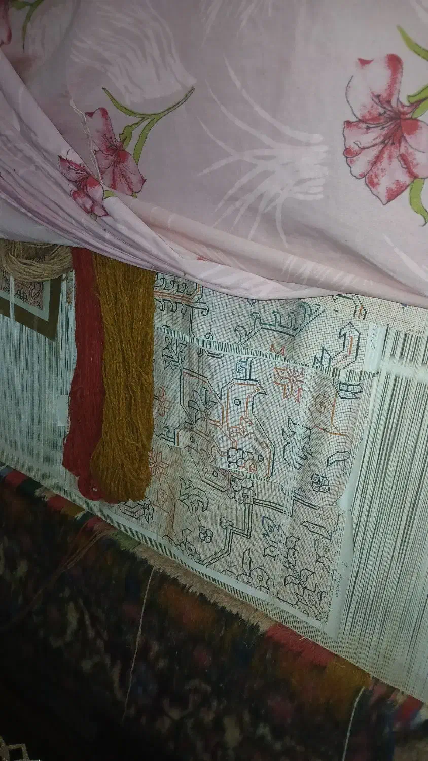 فرش دستباف باف|فرش|اردبیل, |دیوار