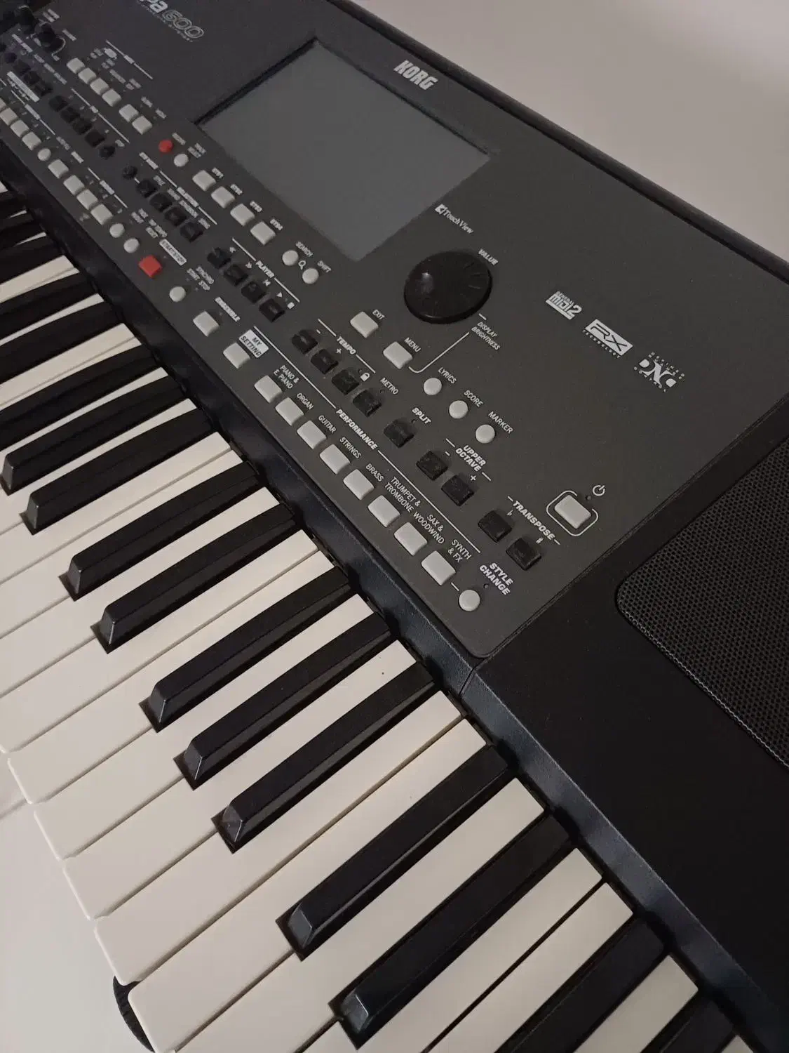 کرگ pa600gt|پیانو، کیبورد، آکاردئون|تبریز, |دیوار