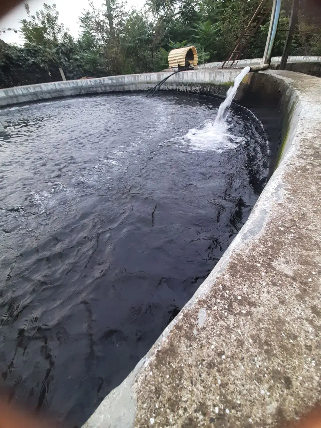 فروش ملک استخر ماهی|فروش دفتر صنعتی، کشاورزی، تجاری|تالش, هشتپر|دیوار