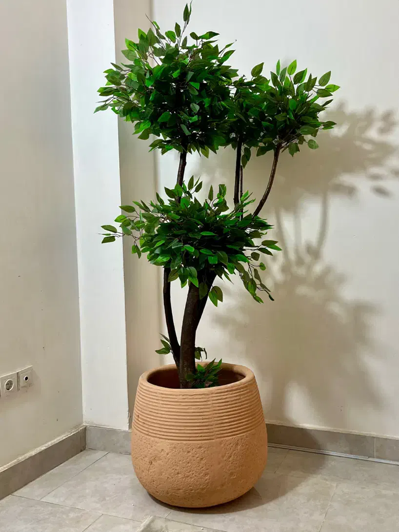 ساخت انواع درختچه مصنوعی|گل مصنوعی|گرگان, |دیوار