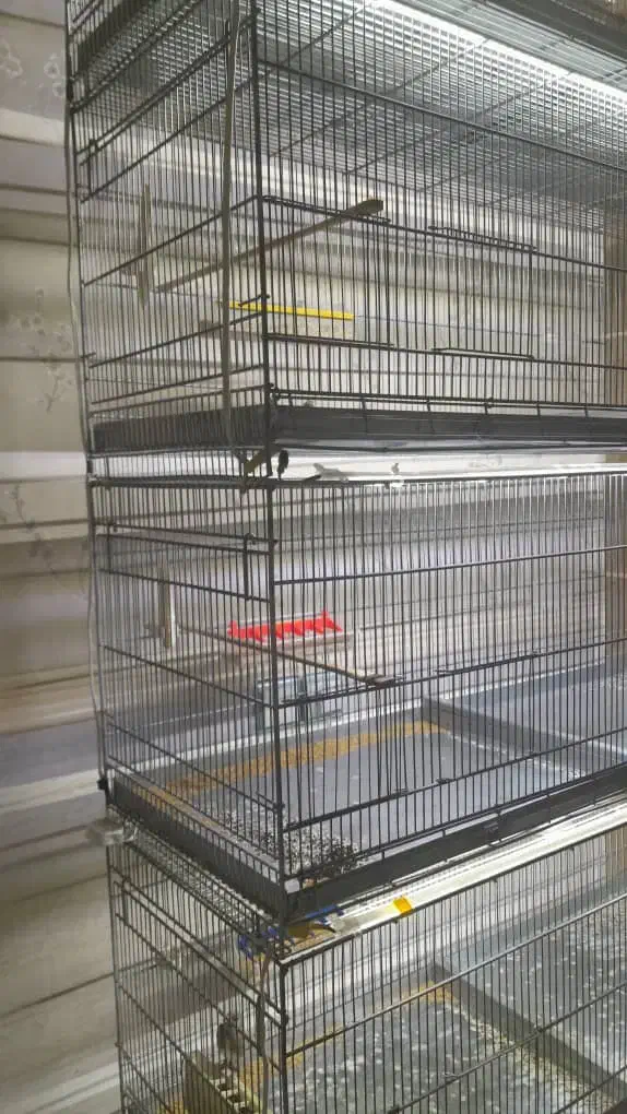 هشت خان غلامی|لوازم جانبی حیوانات|شاهدشهر, |دیوار