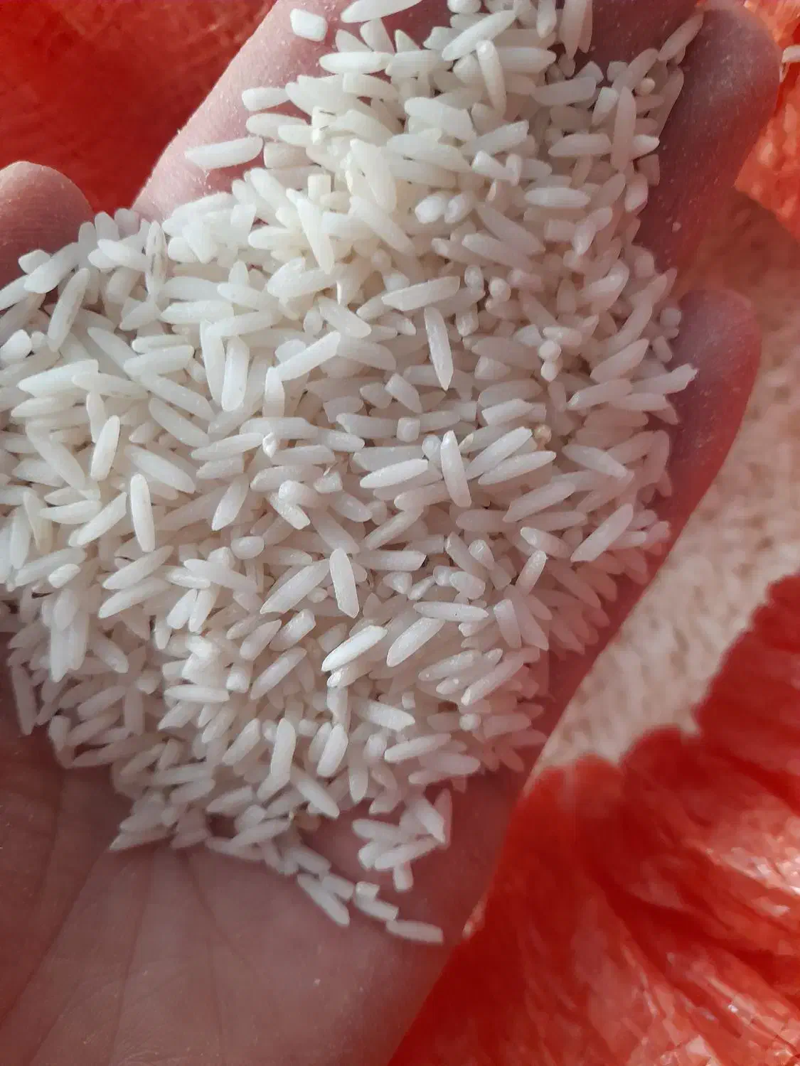 برنج هاشمی گیلان|خوردنی و آشامیدنی|اردبیل, |دیوار