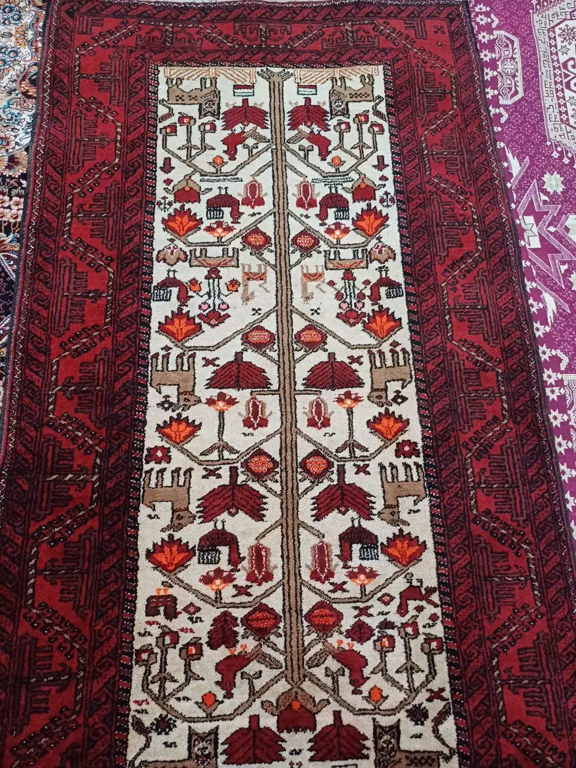 قالیچه دستباف|فرش|مشهد, گاز|دیوار