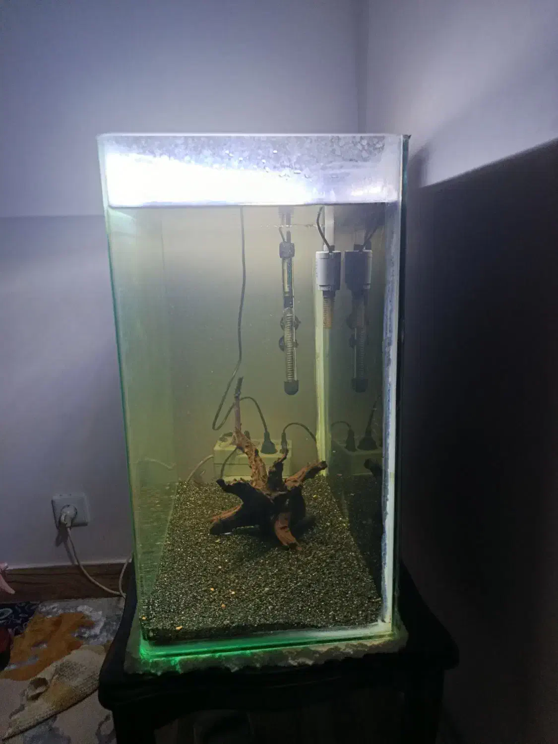 آکواریوم|ماهی|تبریز, |دیوار