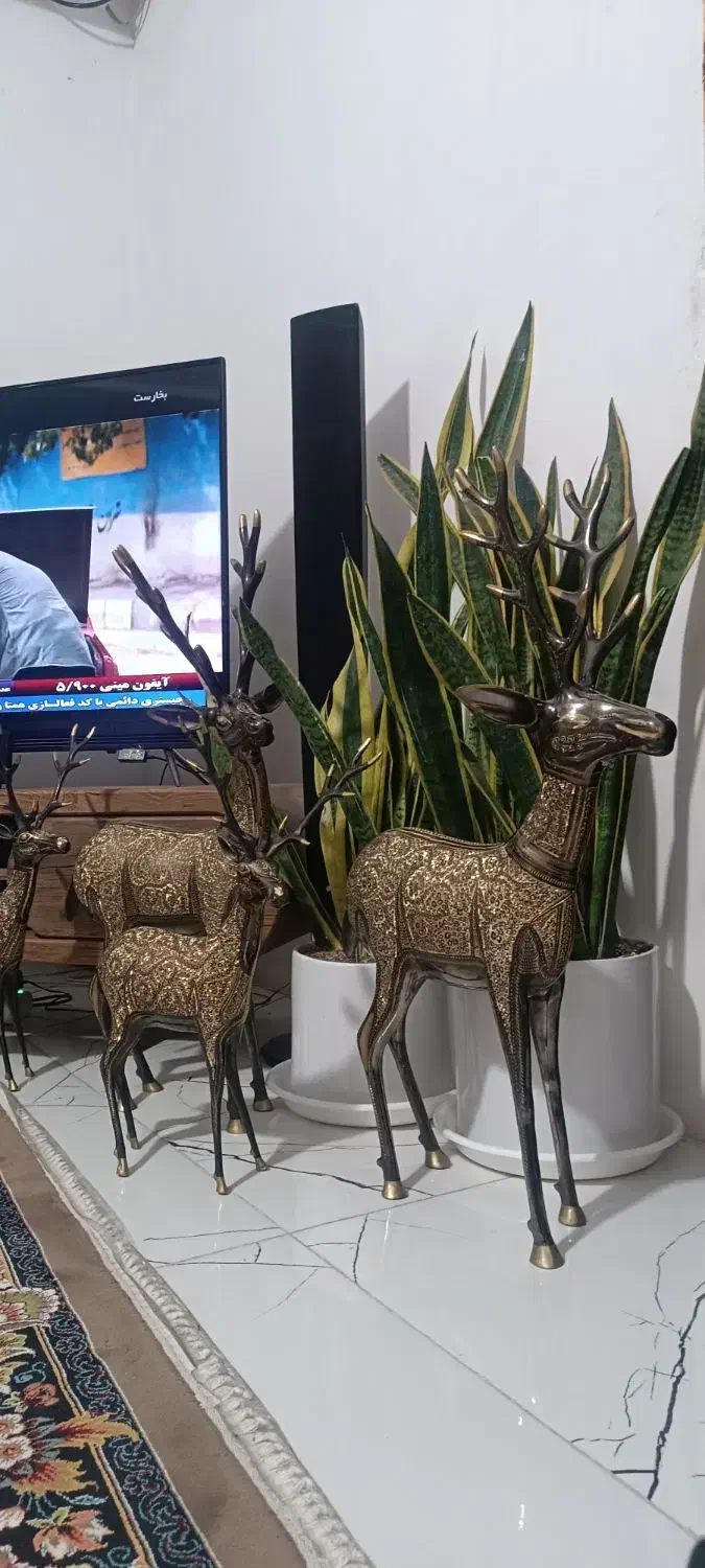 4 عدد کوزن|مجسمه، تندیس، ماکت|تهران, نازی‌آباد|دیوار