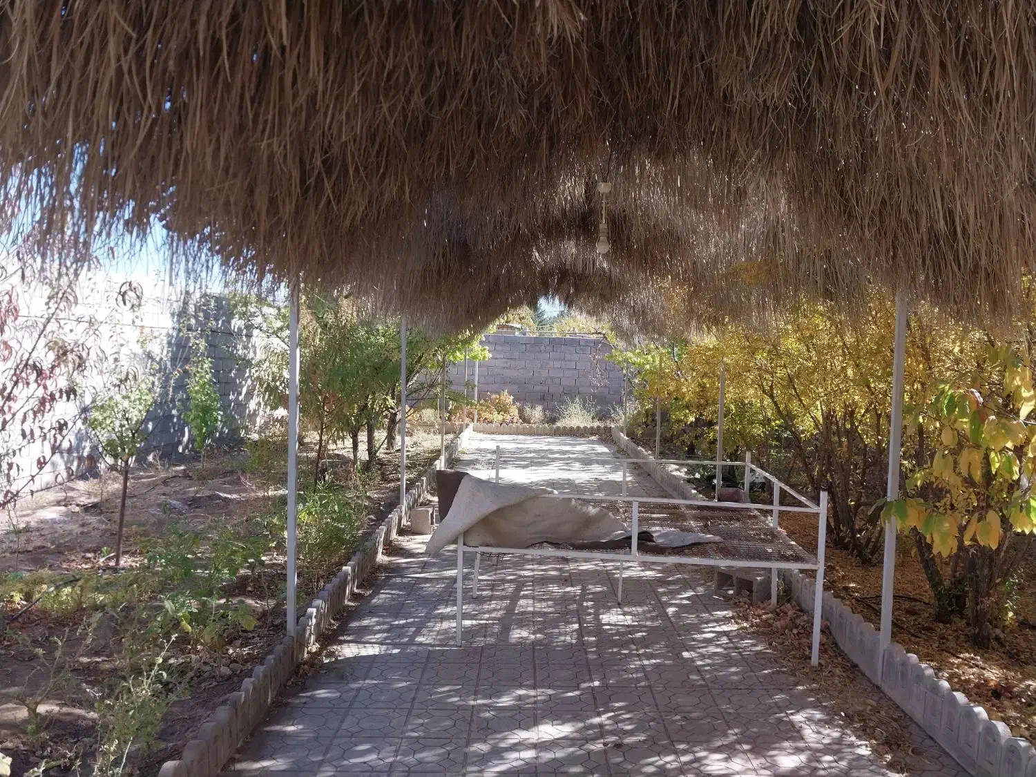 خونه باغ جوپار عباس آباد بعد از کارخانه روغن نباتی|فروش خانه و ویلا|ماهان, |دیوار