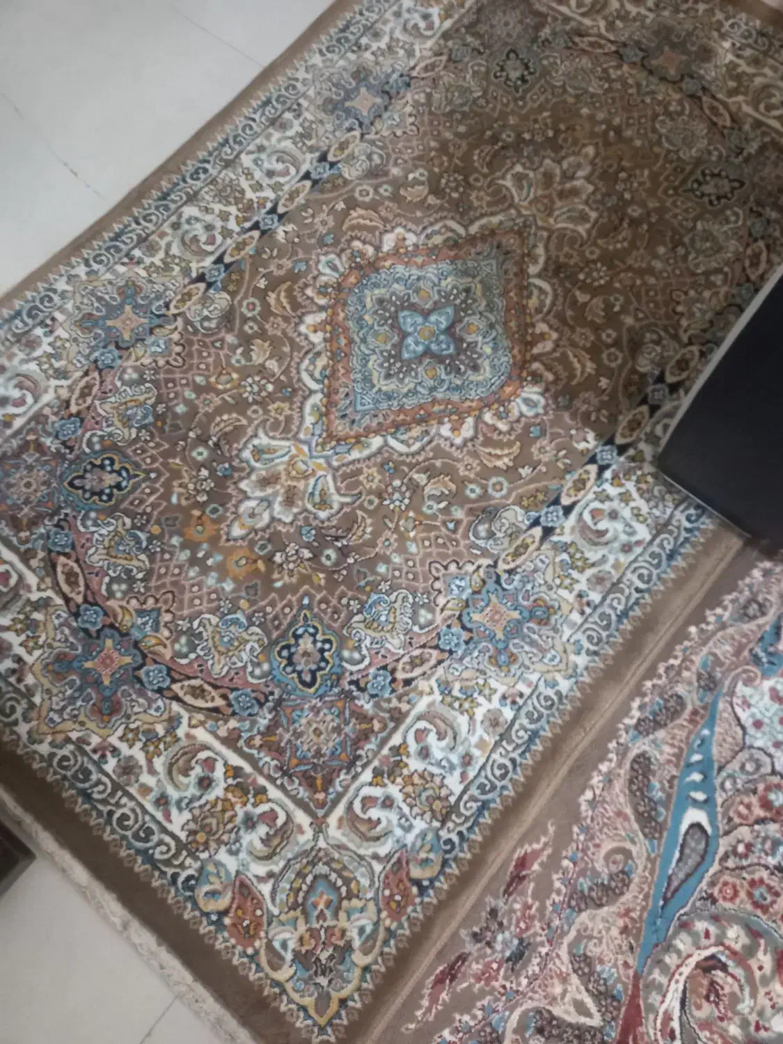 فرش ۱۲ متری|فرش|رشت, پل تالشان|دیوار