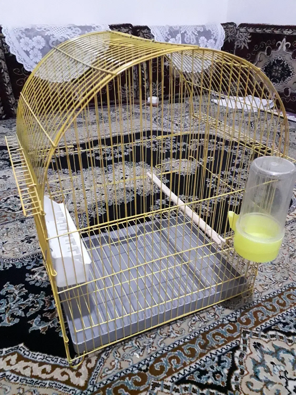 قفس پرنده|لوازم جانبی حیوانات|سنندج, |دیوار