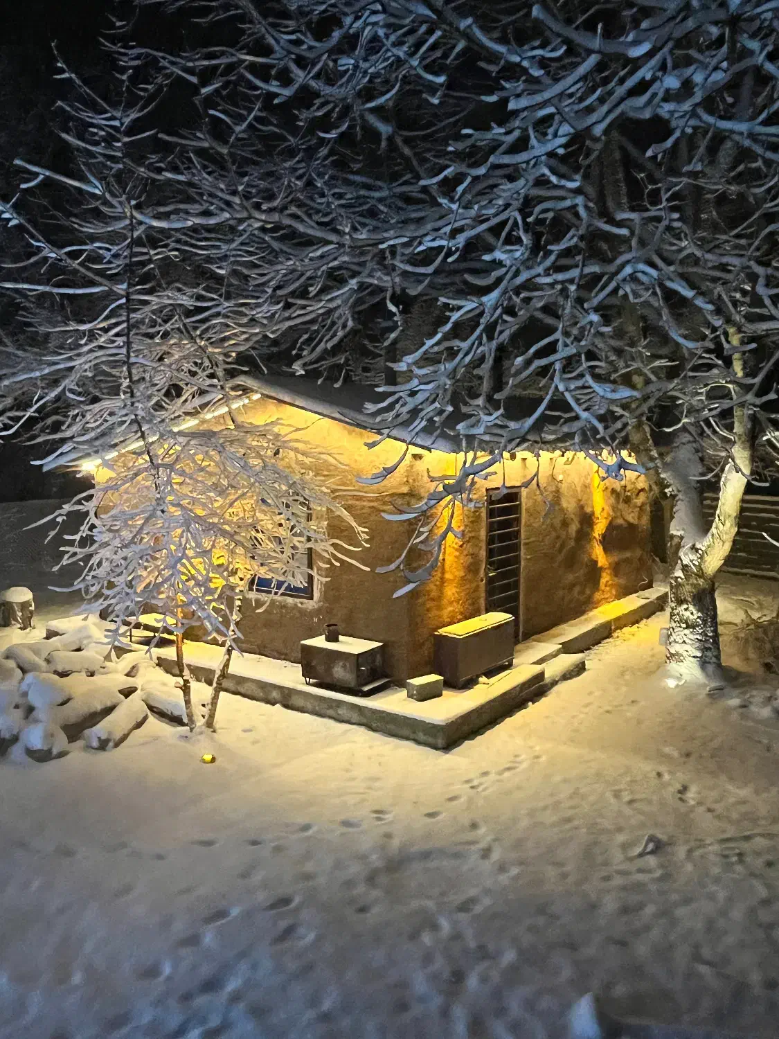 اجاره کلبه ویسر|اجارهٔ خانه و ویلا|کجور, |دیوار