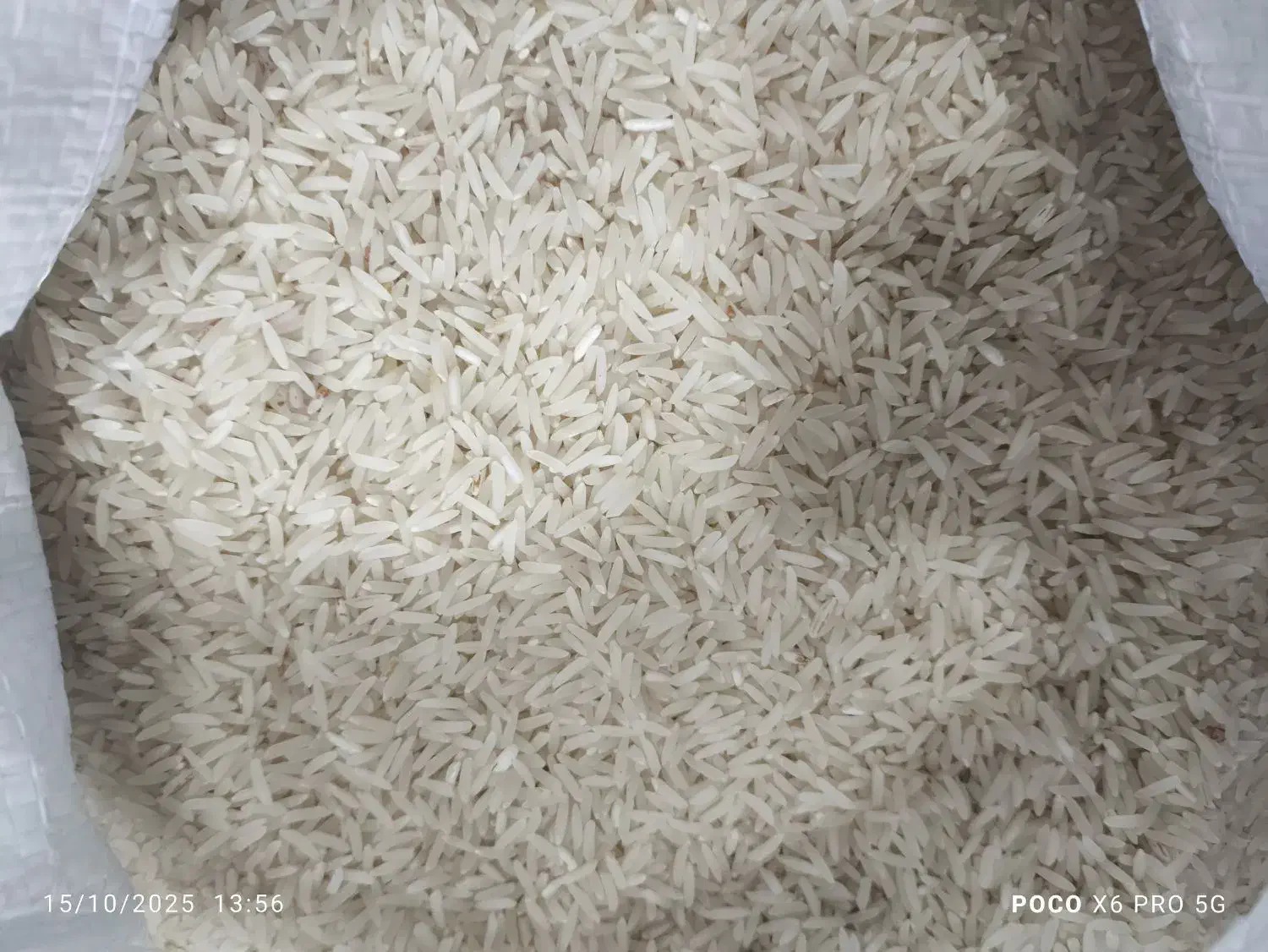 برنج فجر سوزنی ۹۰ روزه کاشت خودم|خوردنی و آشامیدنی|آق قلا, |دیوار