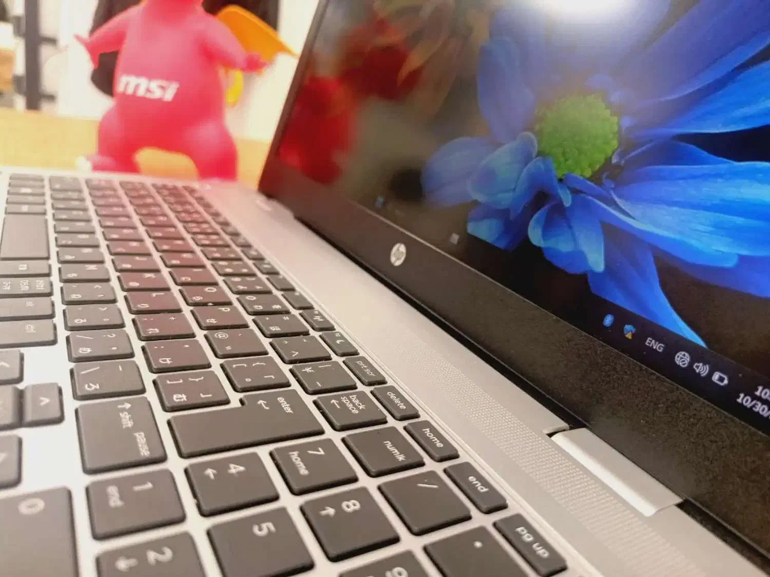 لپ تاپ HP برنامه نویسی وب گردی دانشجویی خانگی|رایانه همراه|مشهد, بهشت|دیوار