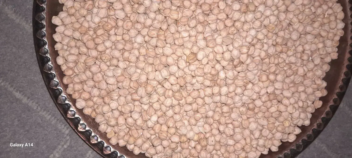 نخود دیم|عمده‌فروشی|همدان, |دیوار