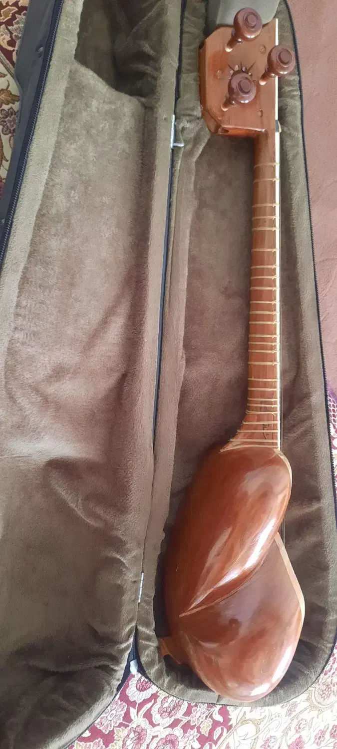 تار ۳/۴|سازهای سنتی|لنجان, |دیوار