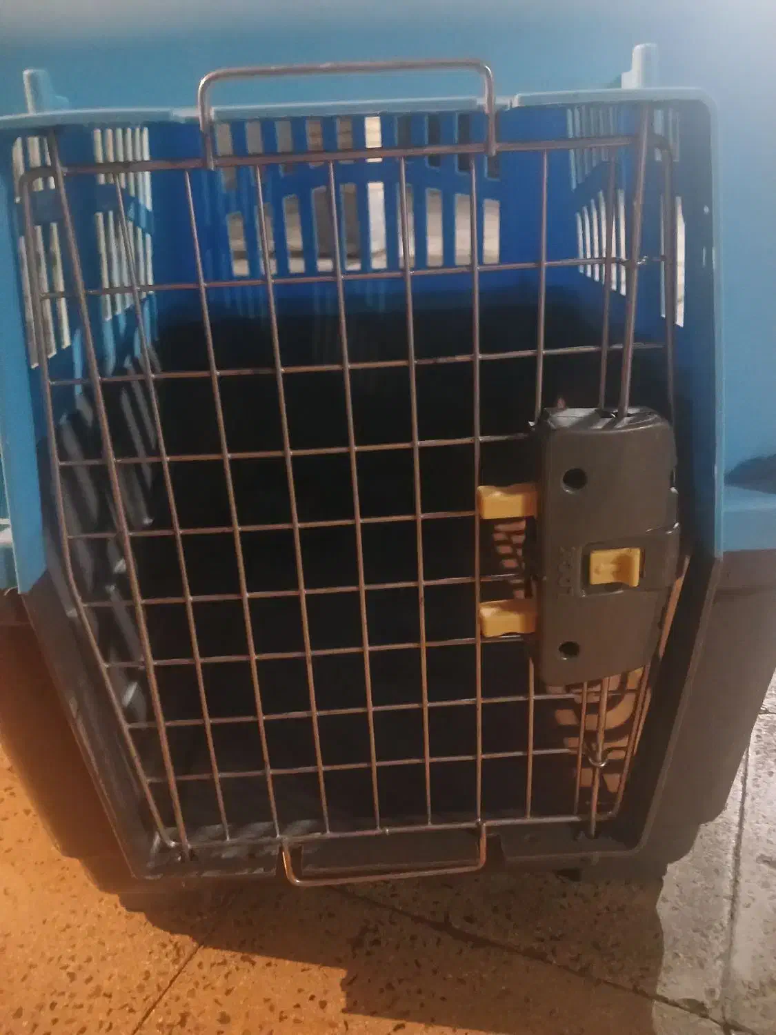 باکس حیوان خانگی|لوازم جانبی حیوانات|هشتگرد, هشتگرد قدیم|دیوار