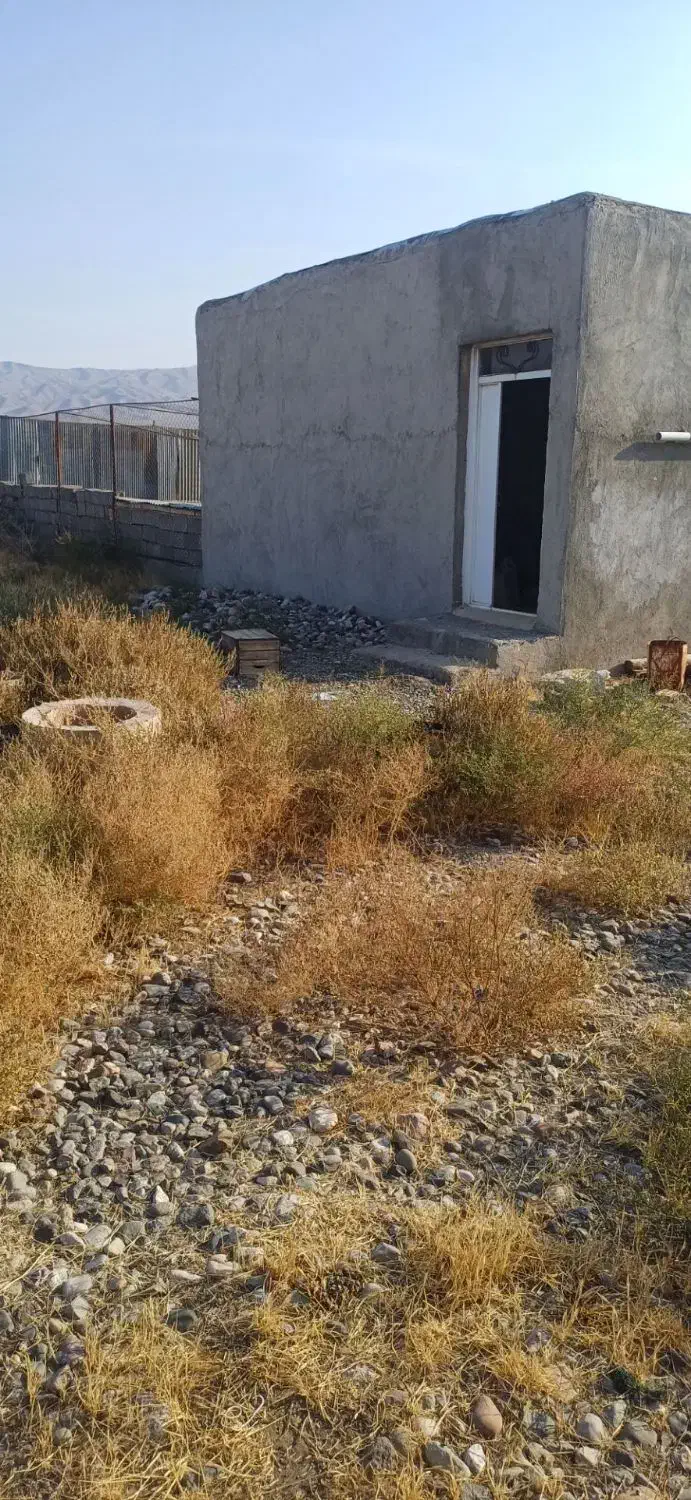 زمین کشاورزی در جاده چشمه|فروش زمین و ملک کلنگی|ایواوغلی, |دیوار