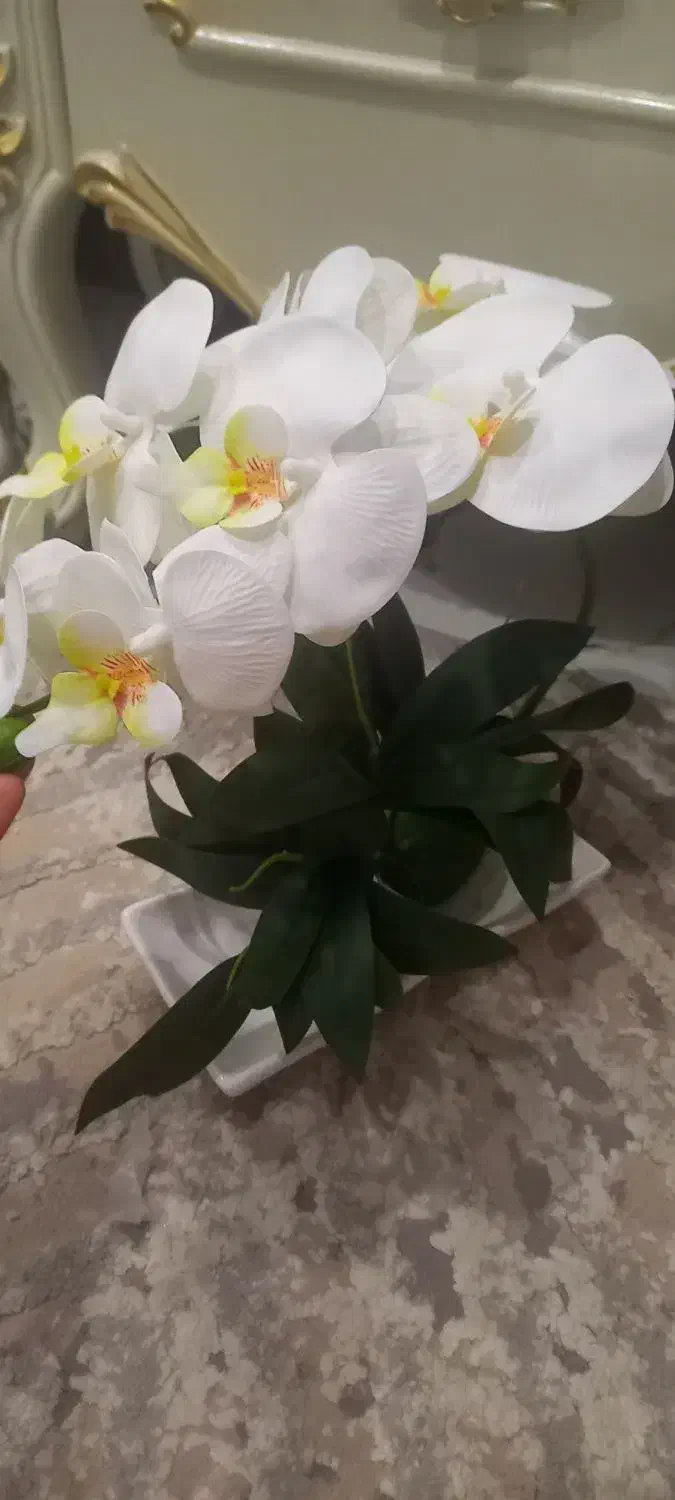 گل لمسی ارکیده سفید|گل مصنوعی|کرج, کوی امامیه|دیوار