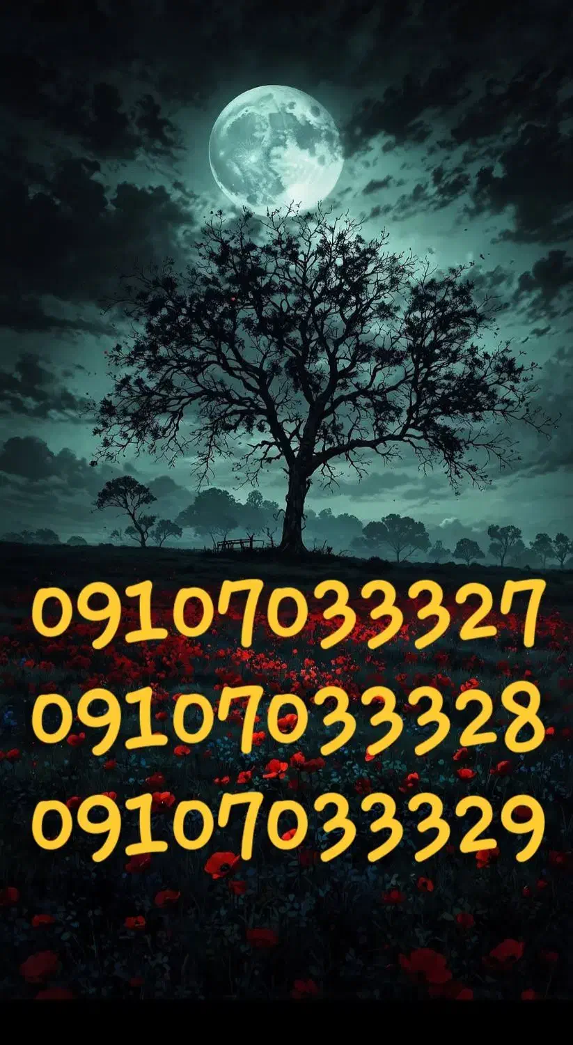 سیم کارت رایگان میخوای|سیم‌کارت|کرج, فاز ۱ مهرشهر|دیوار