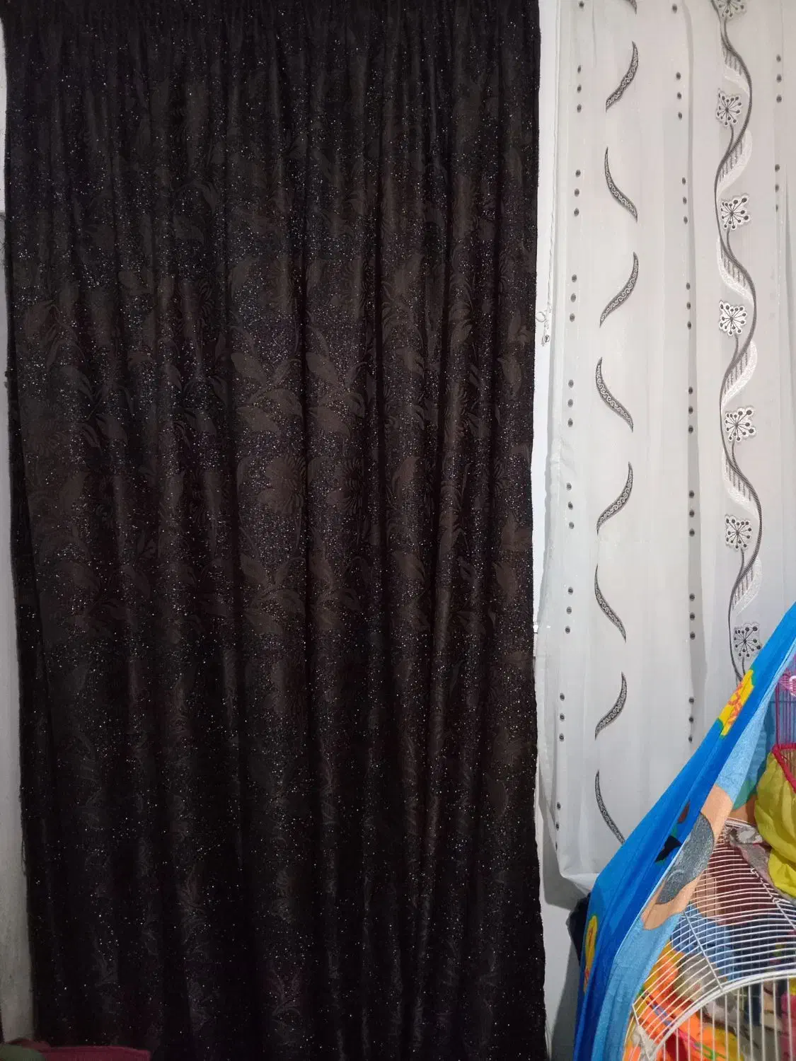 پرده ۵ عدد|پرده، رانر، رومیزی|رشت, رودباری|دیوار