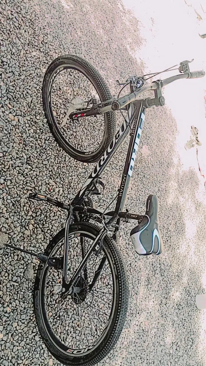 دوچرخه|دوچرخه، اسکیت، اسکوتر|جیرفت, |دیوار