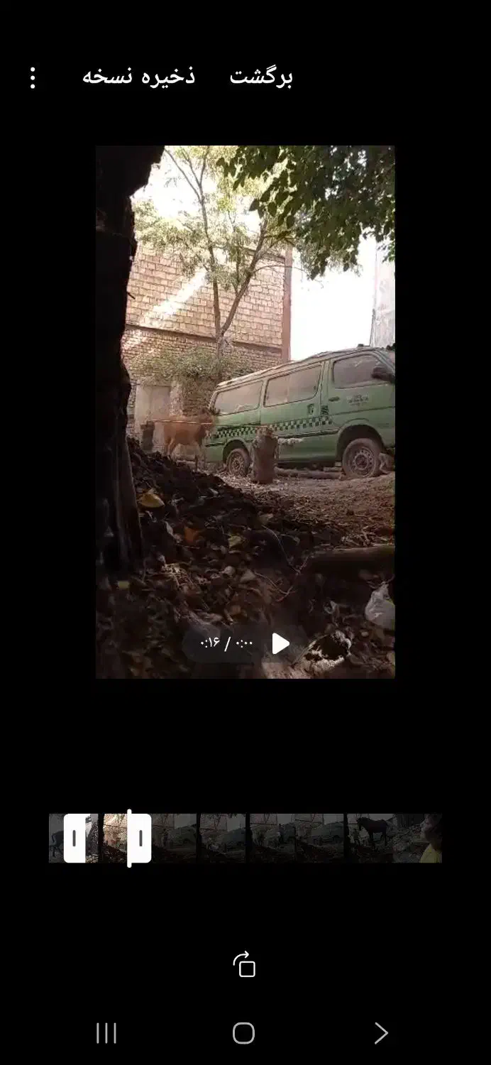 اسب شیهه یکسالش هست و کلی میفهمه|اسب و تجهیزات اسبسواری|قزوین, |دیوار