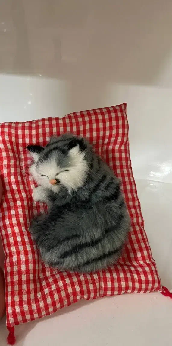 اسباب بازی|اسباببازی|قم, پردیسان|دیوار