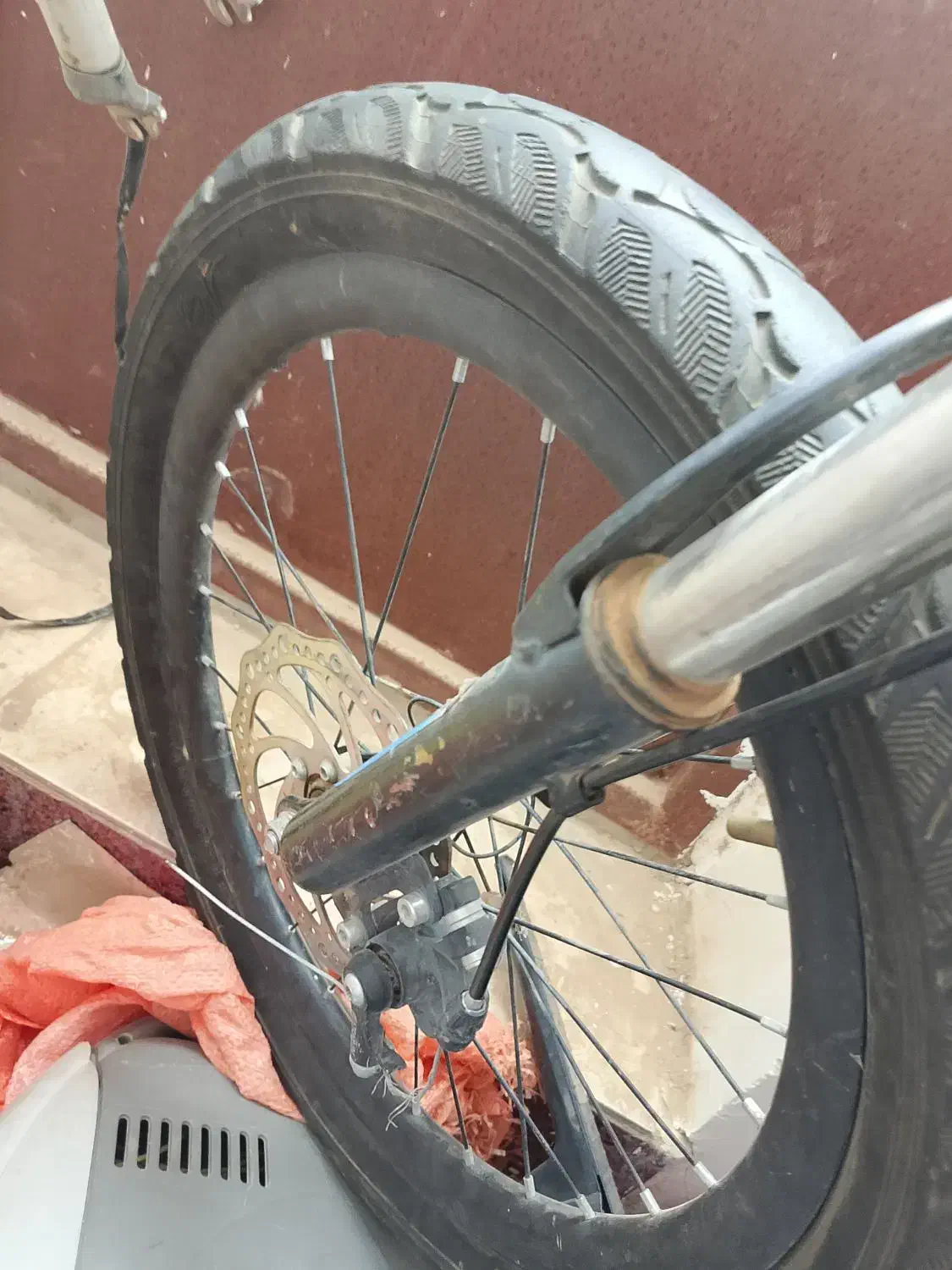 دوچرخه حرفه ای|دوچرخه، اسکیت، اسکوتر|ایرندگان, |دیوار