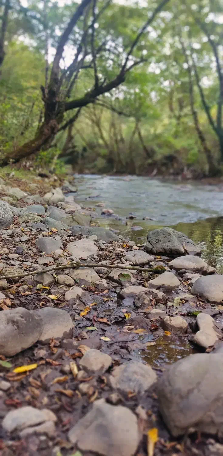اجاره روزانه اقامتگاه  همرا با اتاق و سوئیت|اجارهٔ کوتاه‌مدت آپارتمان و سوئیت|رستم‌آباد, |دیوار