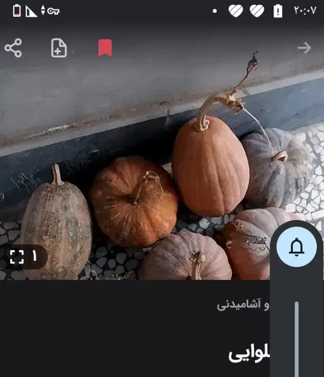 کدو|خوردنی و آشامیدنی|آمل, |دیوار