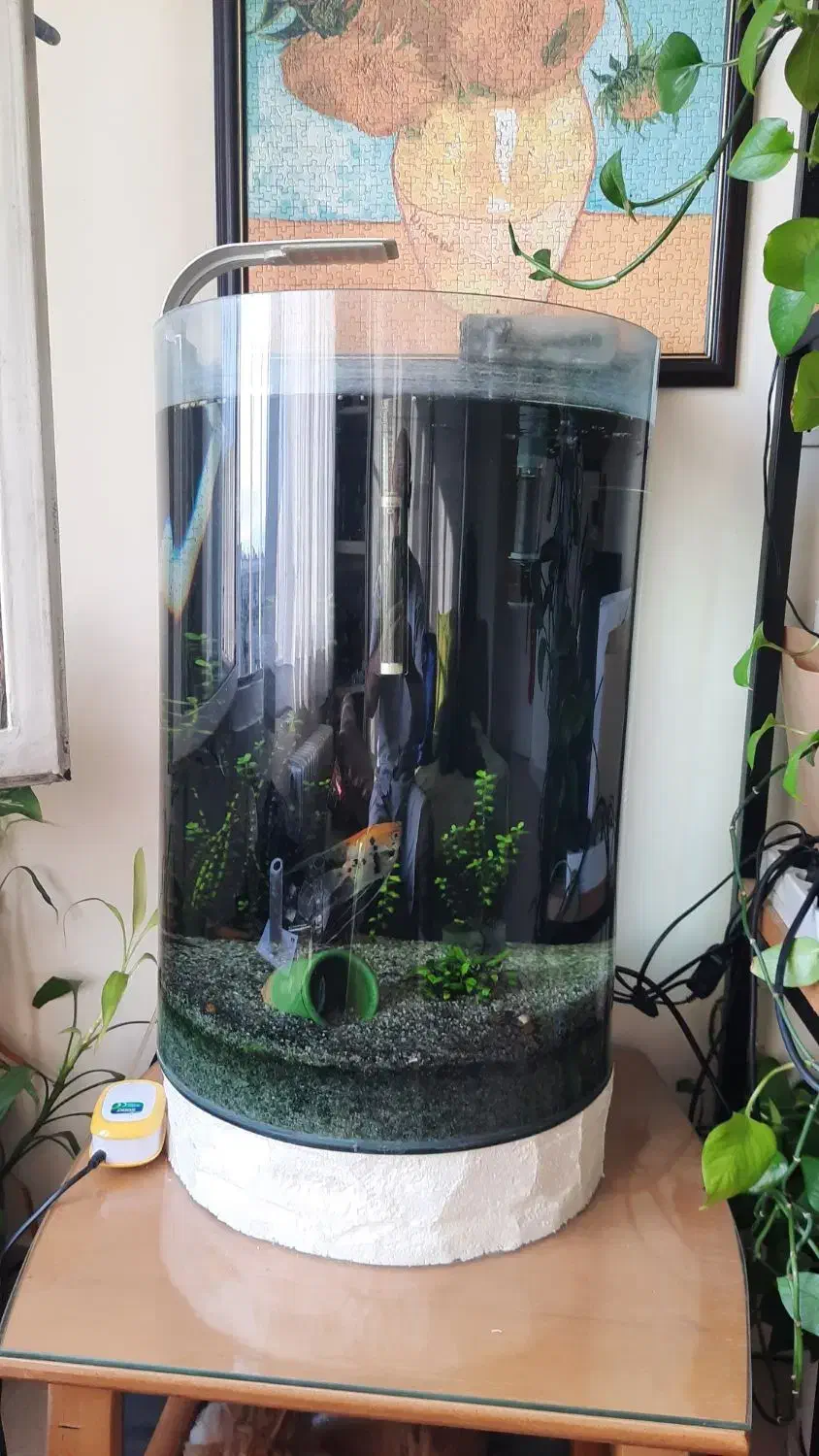 معاوضه یا فروش آکواریوم  نیمه استوانه   پشت تخت|ماهی|تهران, نیروی دریایی|دیوار